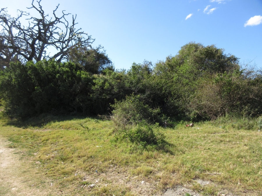 0 Bedroom Property for Sale in Bathurst Eastern Cape